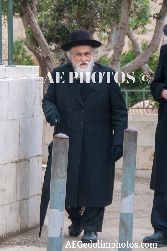 Rav Meir Soloveitchik