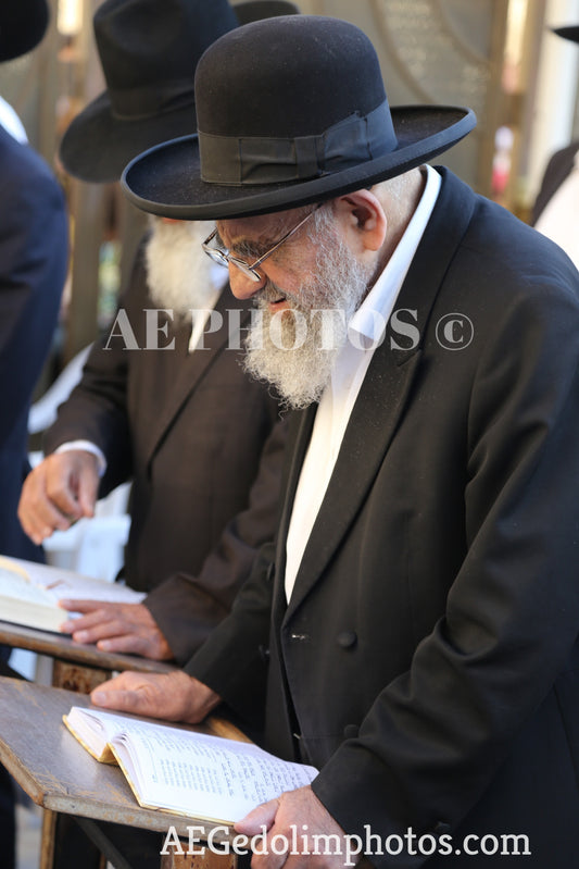 Rav Moshe Tzadka at the Kotel