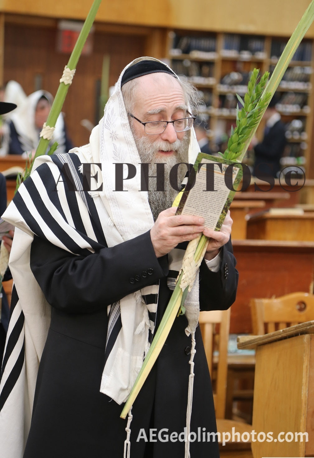 Rav Shlomo Avigdur Altusky