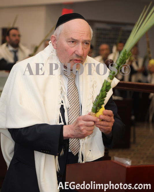 Rav Shlomo Churba