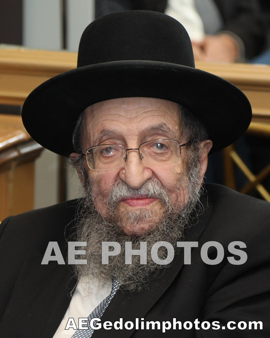 Rav Shmuel Kamenetsky