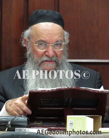 Rav Yaakov Hillel delivering a shiur