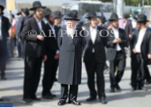 Rav Avrohom Yehoshua Soloveitchik