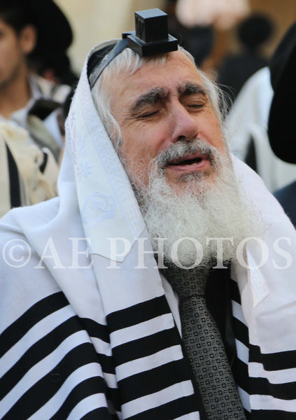Rav Eliezer Ginsberg