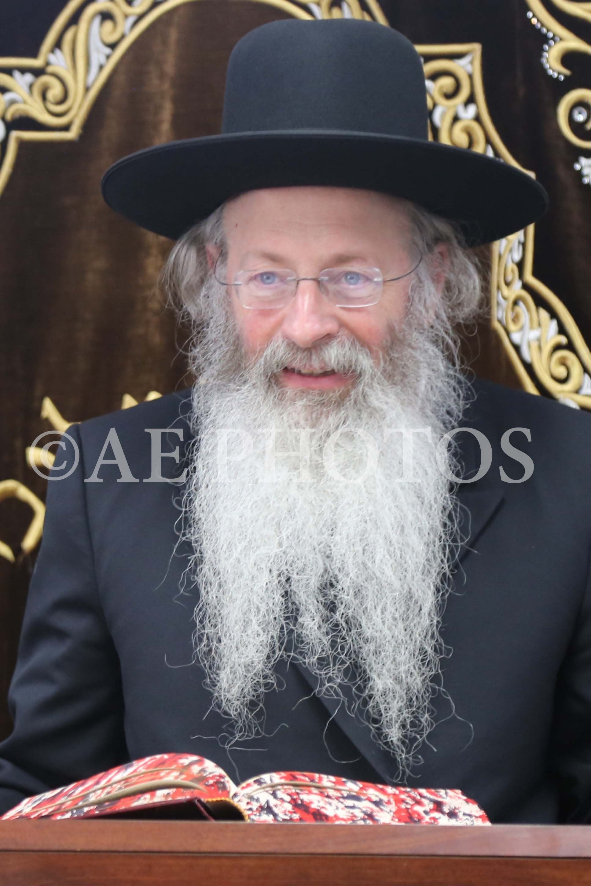 Rav Malkiel Kotler