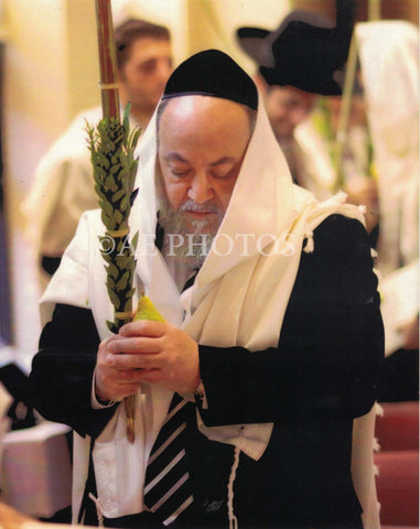 Rav Moshe Kuessous shaking a Lulav (Menahel Yeshiva Sharei Torah Flatbush)