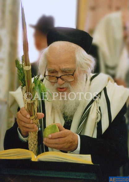 Rav Shach