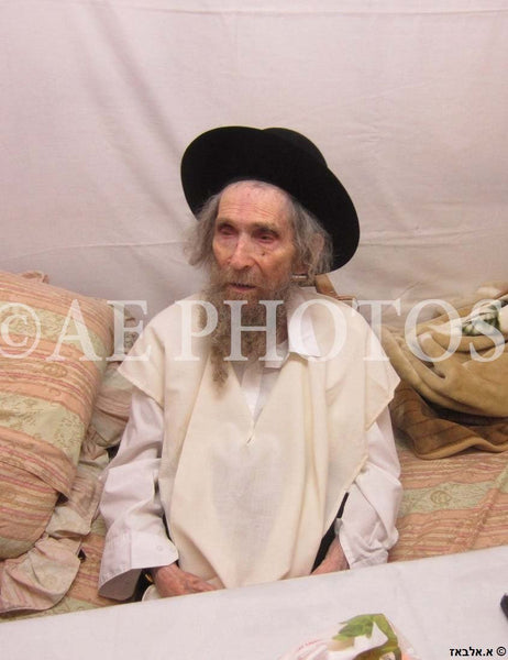 Rav Shteinman