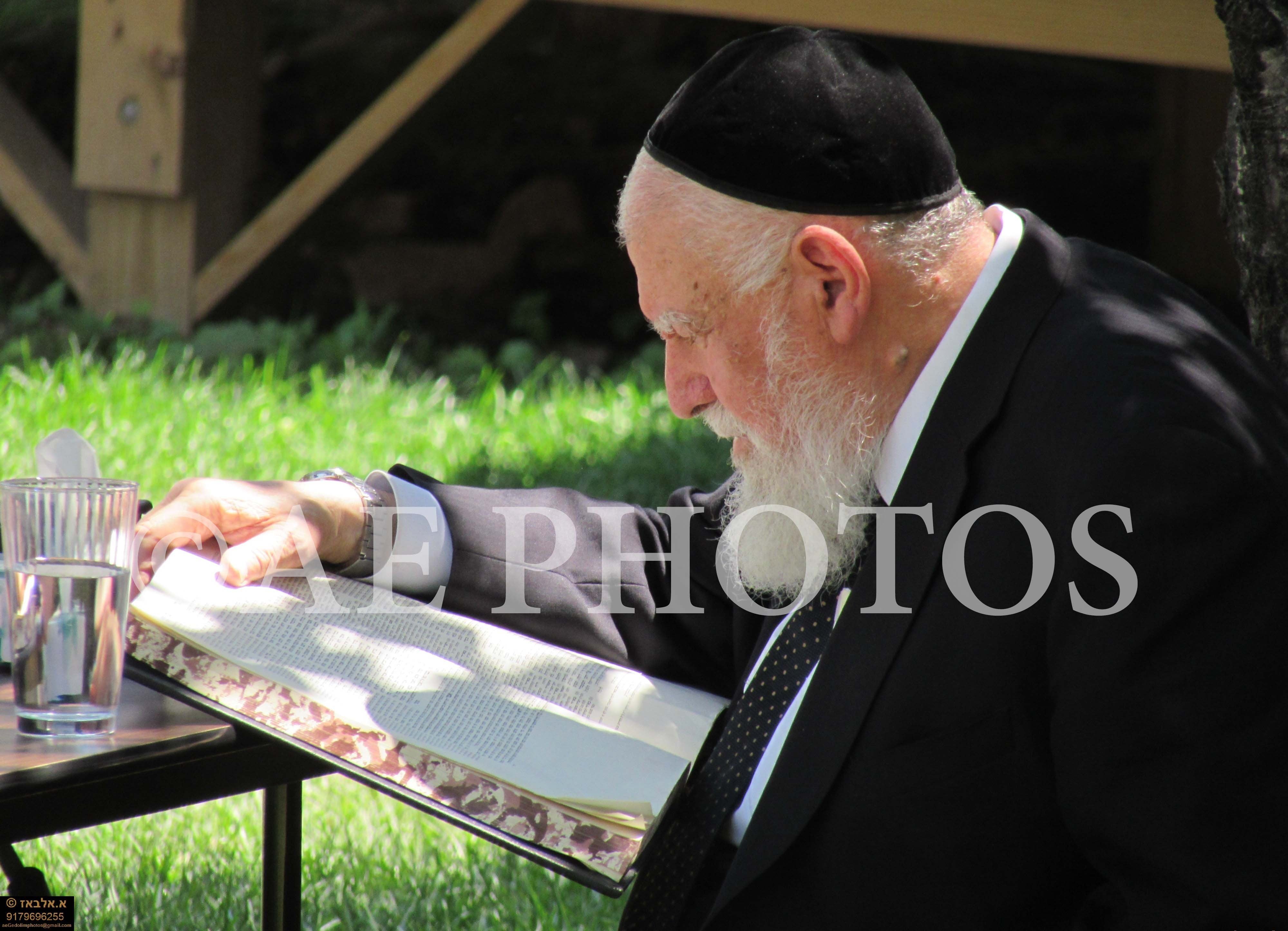 Rav Yosef Harari-Raful