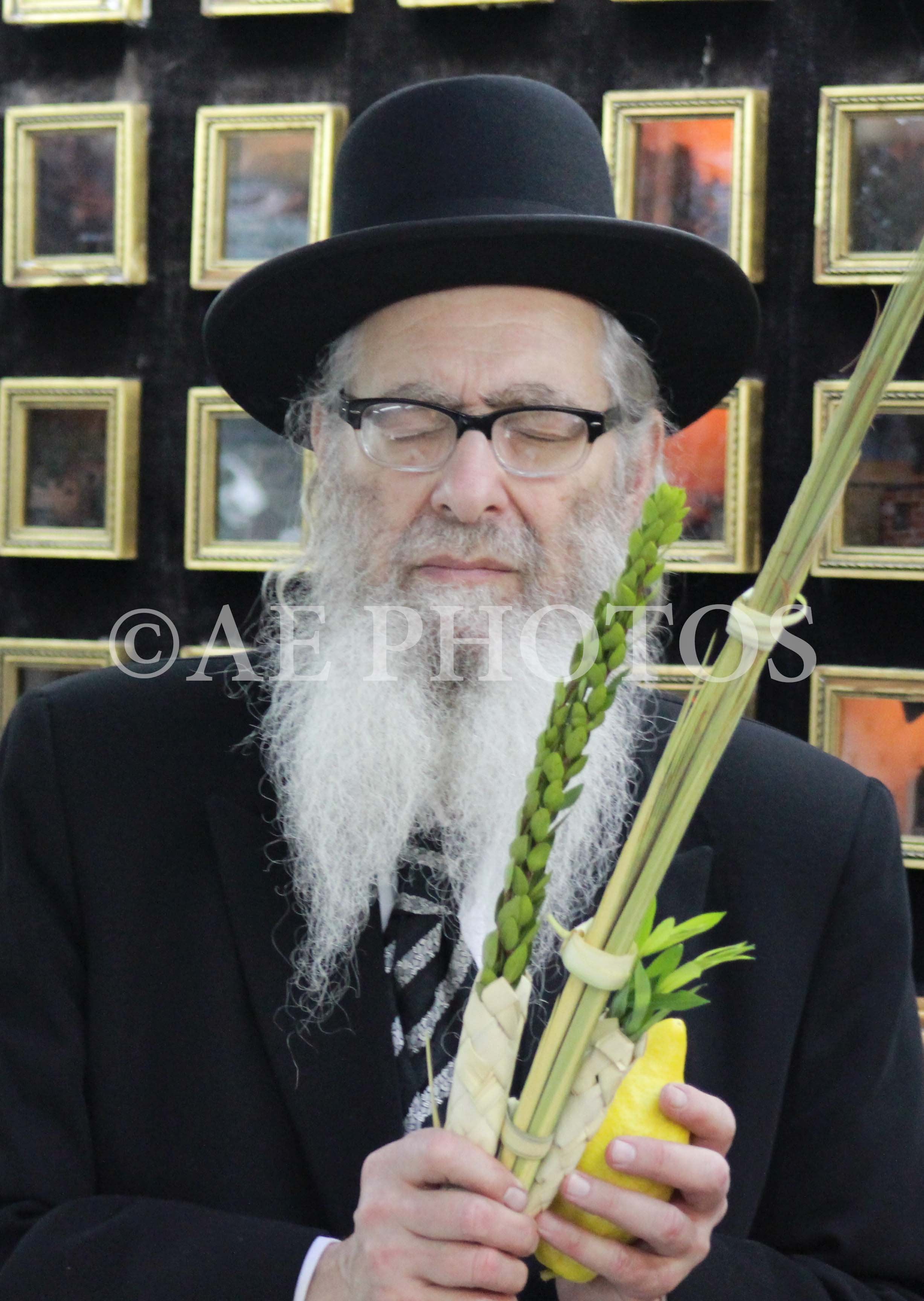 Rav Zevi Trenk
