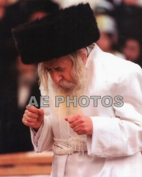 Tosher Rebbe